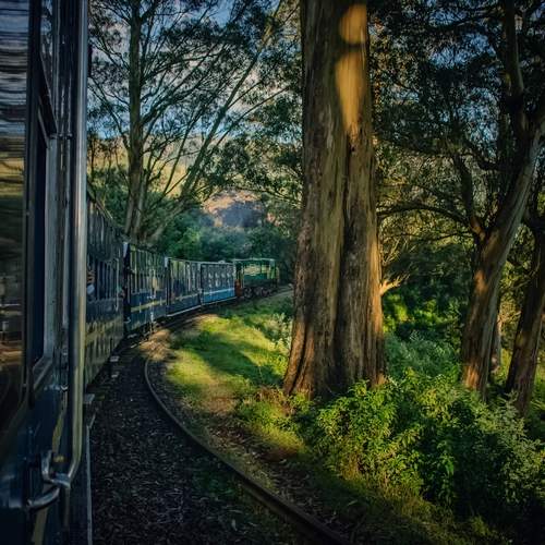Photo #13579660