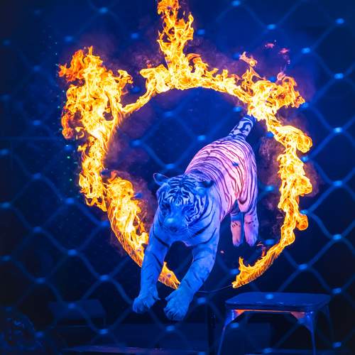 Photo #13579672