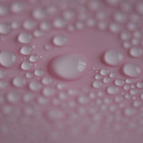 Photo #13579709