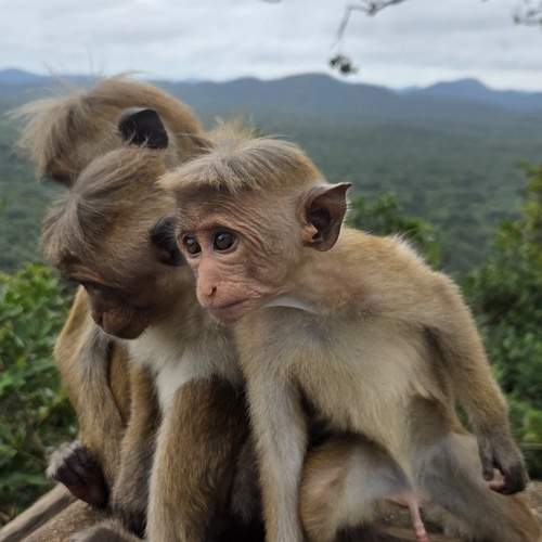 Photo #13579798
