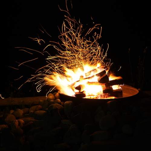Photo #13579859