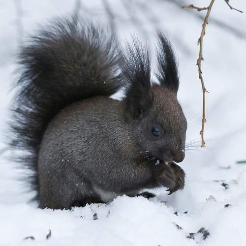 Photo #13579927