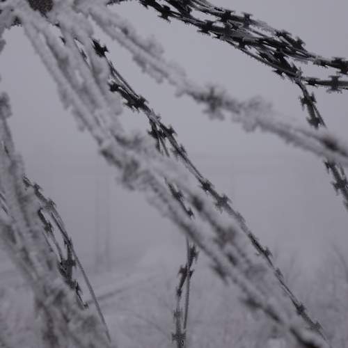 Photo #13579943