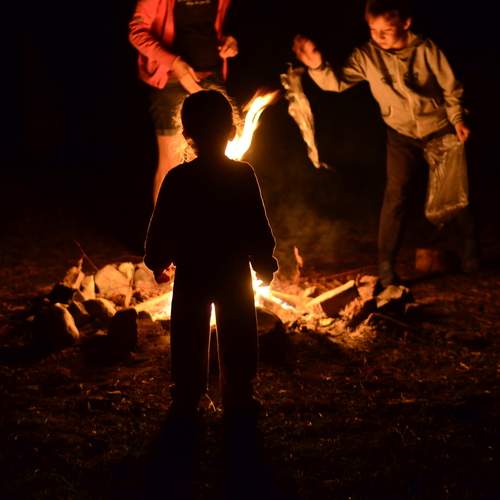 Photo #13579974