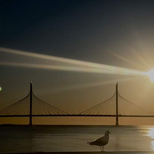 Photo #13580001