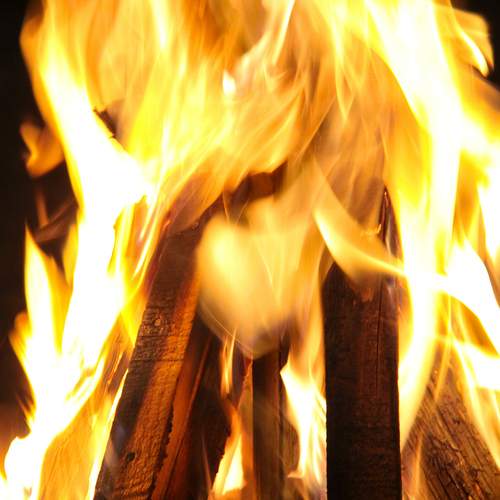 Photo #13580012