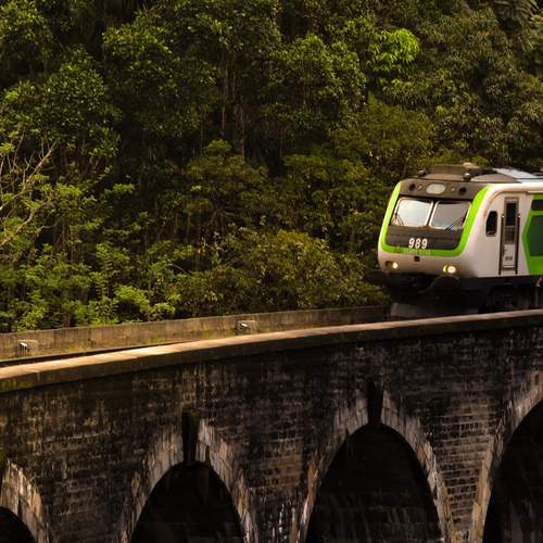 Photo #13580041