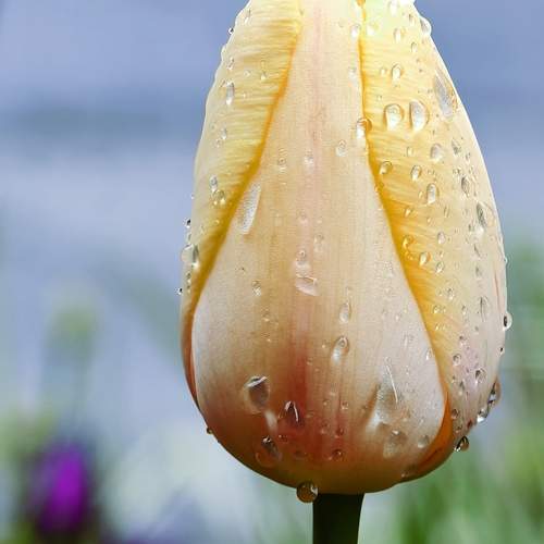 Photo #13580074