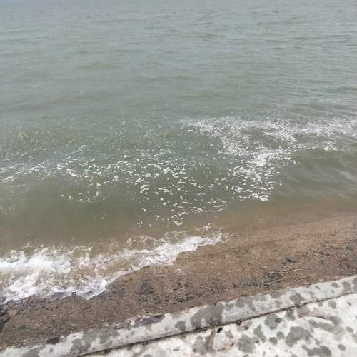 Photo #13580168