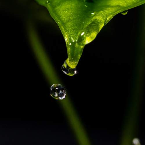 Photo #13580203