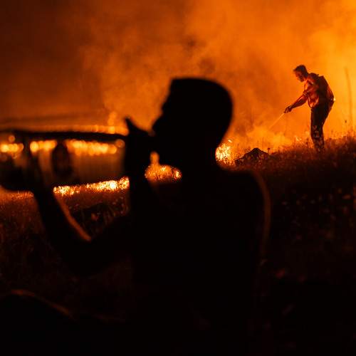Photo #13580377