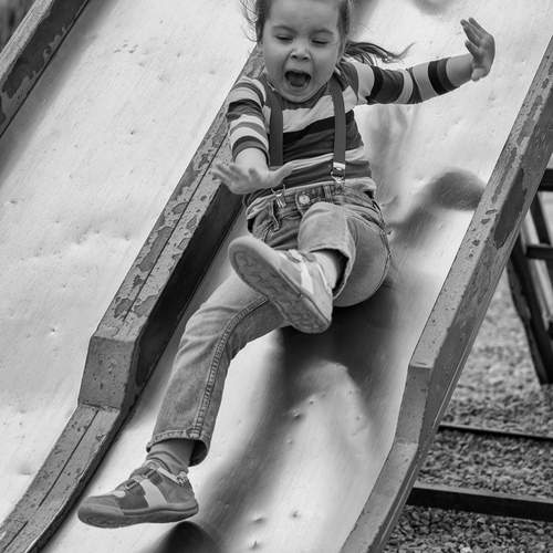 Photo #13580542