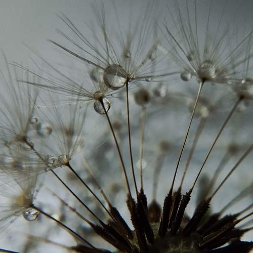 Photo #13580548