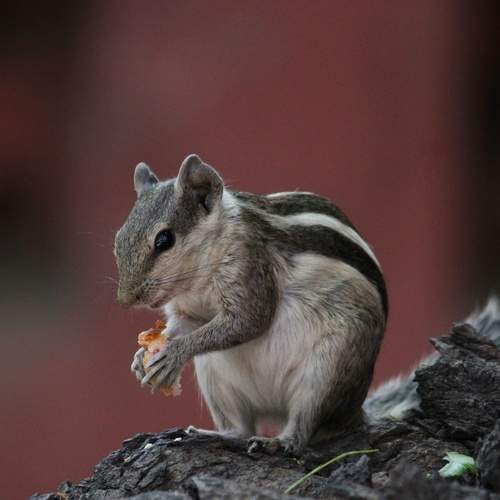 Photo #13580770