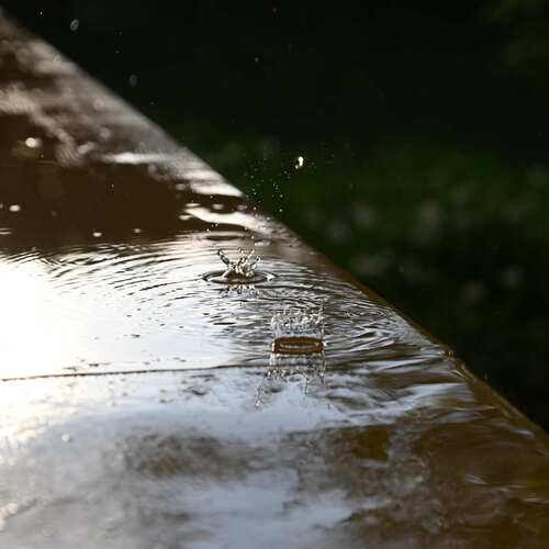 Photo #13580806