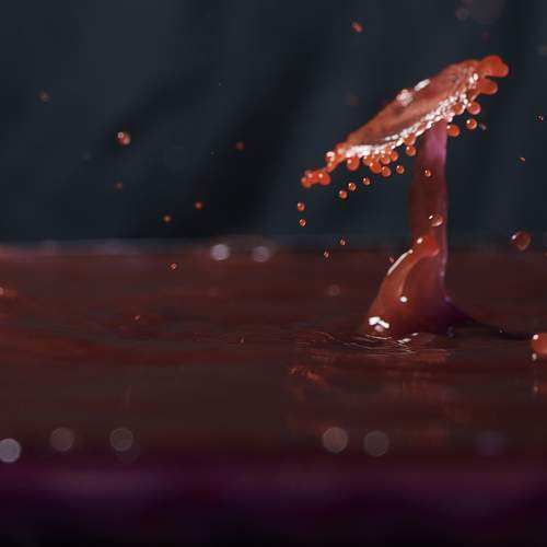 Photo #13580818
