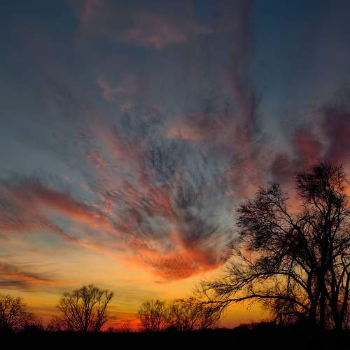 Photo #13580885