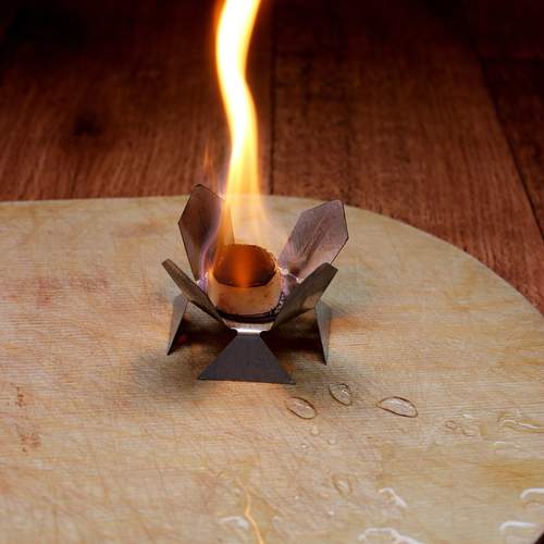 Photo #13580914