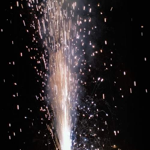 Photo #13581057