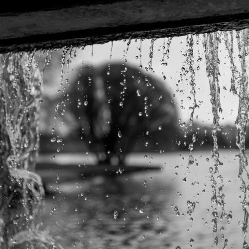 Photo #13581109