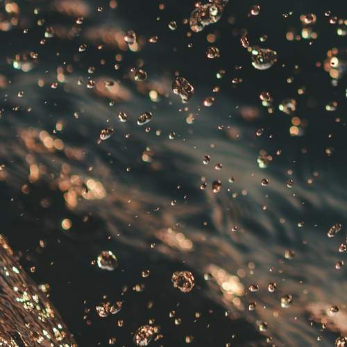 Photo #13581120