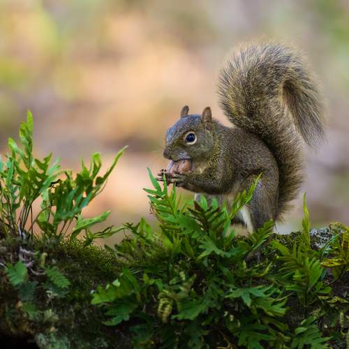 Photo #13581183