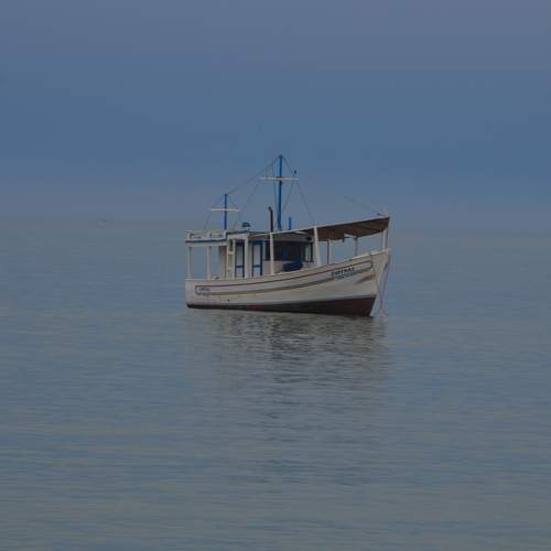 Photo #13581294