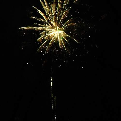 Photo #13581314