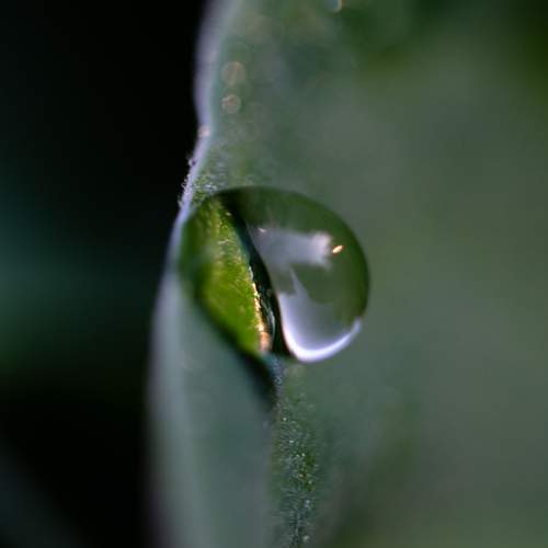 Photo #13581396