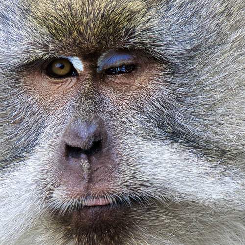 Photo #13581439