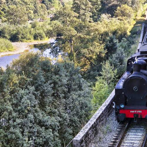 Photo #13581449
