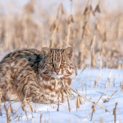 Photo #13581541