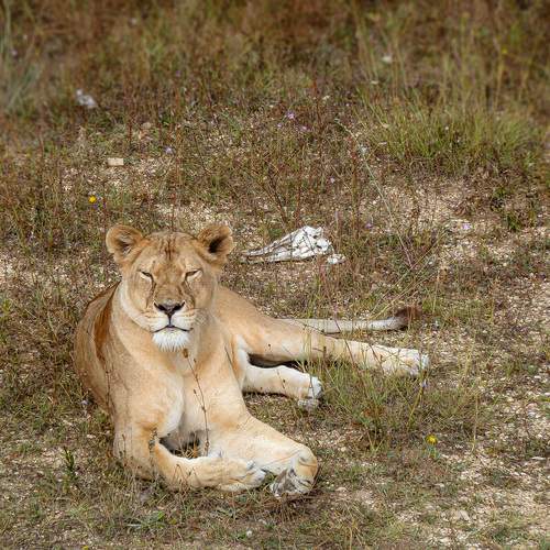 Photo #13581737