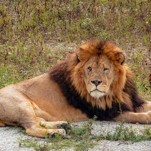 Photo #13581747