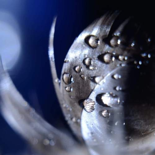 Photo #13581943