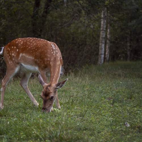 Photo #13582064