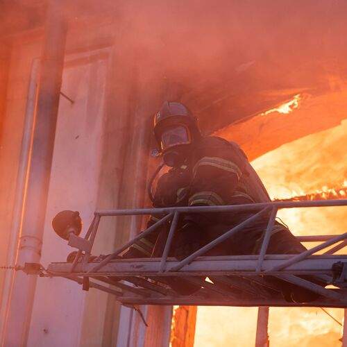 Photo #13582125