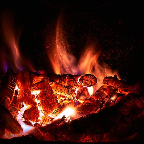 Photo #13582132