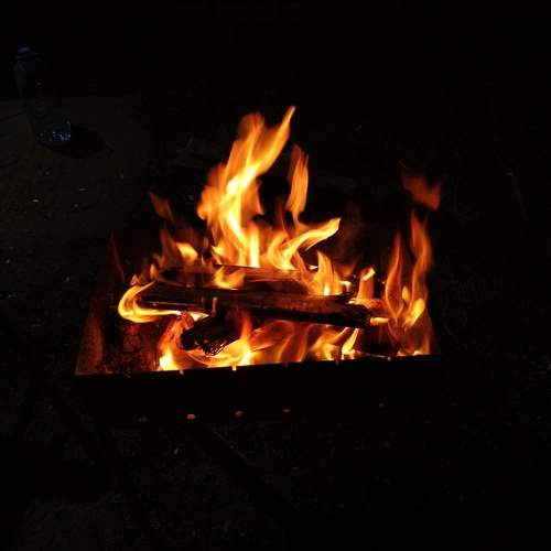 Photo #13582165