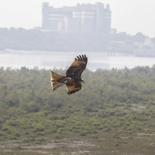 Photo #13582199