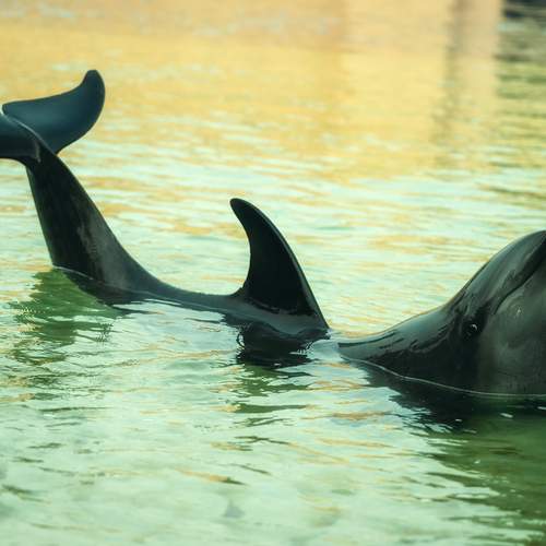 Photo #13582244