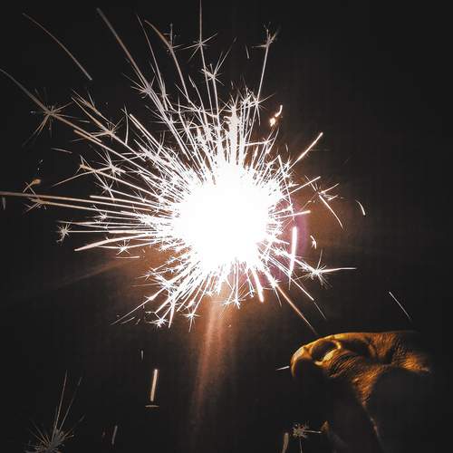 Photo #13582289