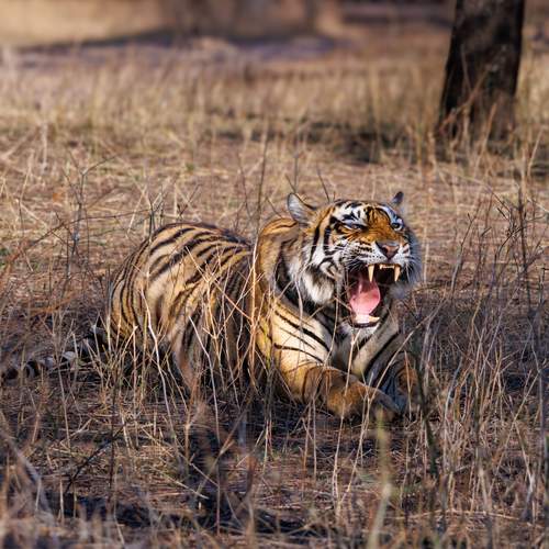 Photo #13582323