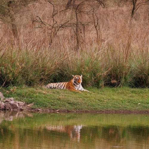 Photo #13582325