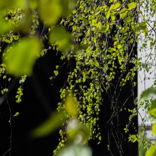 Photo #13582457