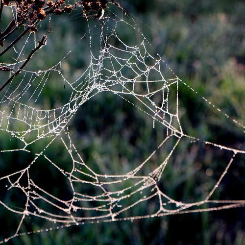 Photo #13582474