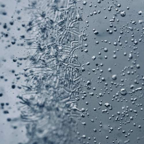 Photo #13582527