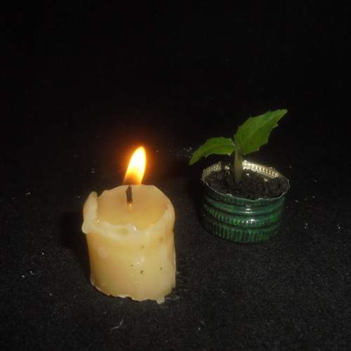 Photo #13582535