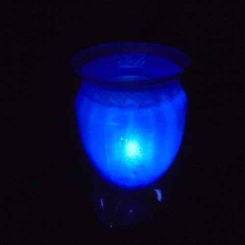 Photo #13582539