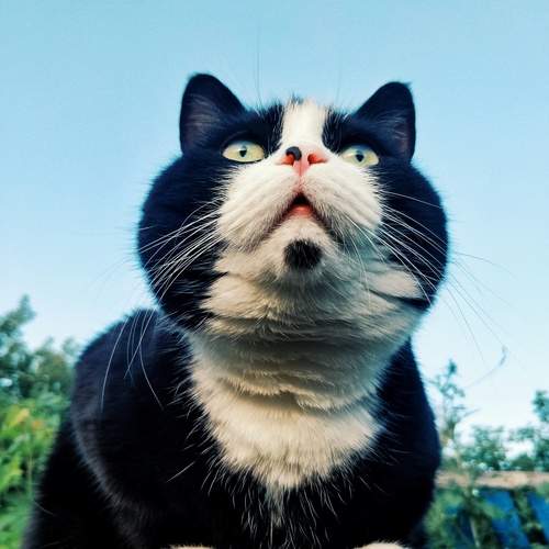 Photo #13582540
